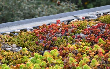 the cost of Out Elmstead green roof installation