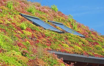 Out Elmstead living roof systems