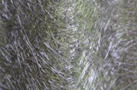 Out Elmstead fibreglass roof work